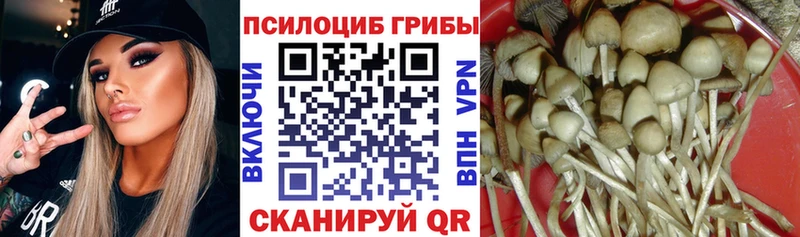 Галлюциногенные грибы мицелий  Любань 